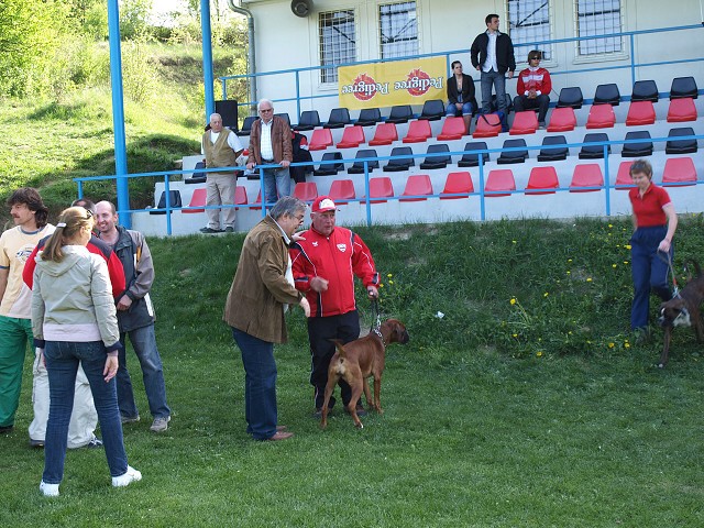 www.atibox.net * www.euroboxer.eu * www.boxergenealogia.eu